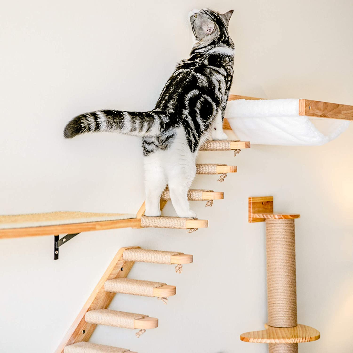 Wooden Cat Wall Climber with Scratching Posts - Four Steps, Space-Saving Design
