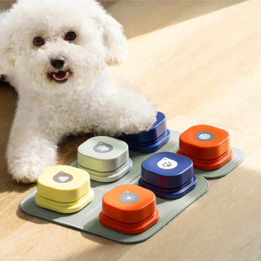 Interactive Cat Whack-A-Mole Game: Solid Wood, Indoor Mice Catching Fun